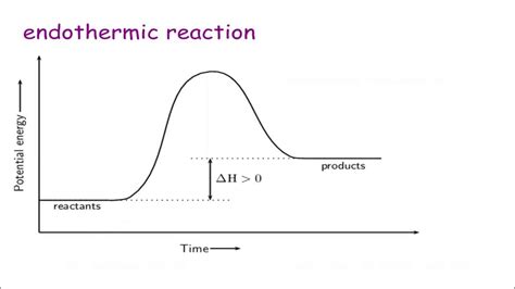 Understanding the Potential of